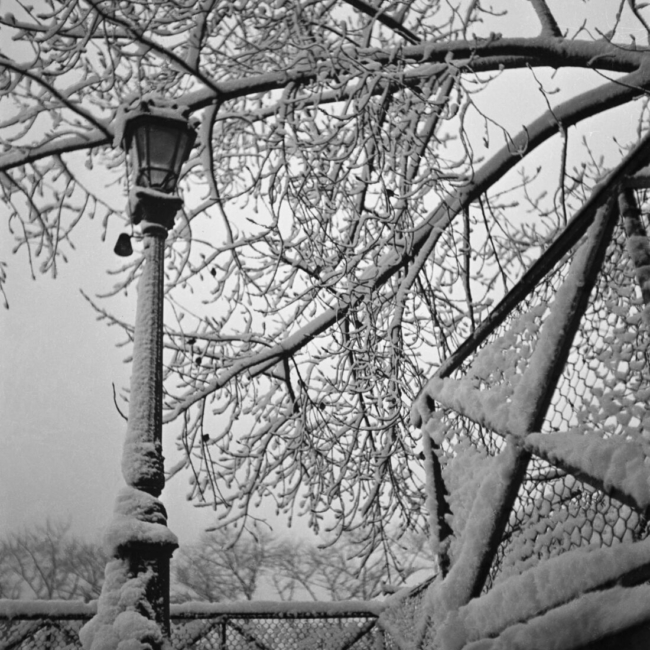 Montmartre, jour de neige sur le belvédère du Sacré-Cœur, 1940