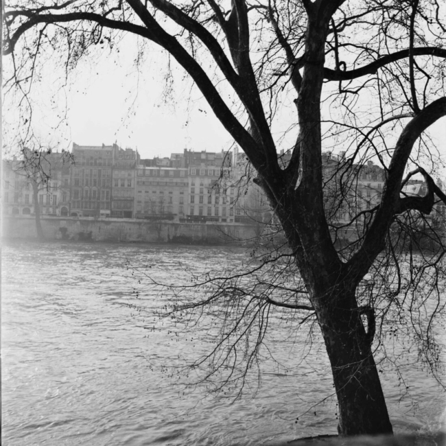 Vue du quai Voltaire depuis le Louvre, 1950